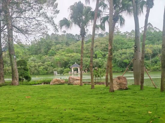 清遠恆大酒店優惠