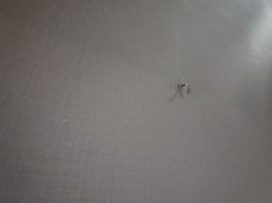 朵亞loft酒店公寓（廣州正佳廣場體育西路地鐵站店）優惠