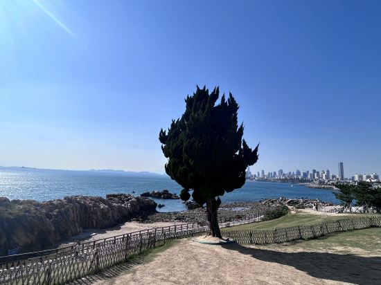 青島機場富華飯店 （香港中路五四廣場店）優惠