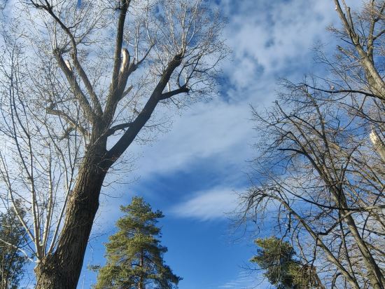 蒙特卡羅宮殿青年旅舍優惠