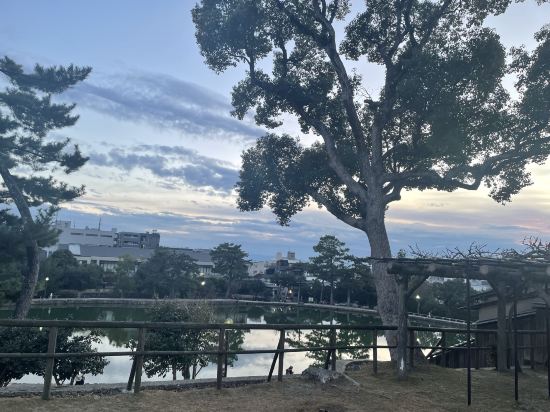 祗園SORA青年旅舍優惠