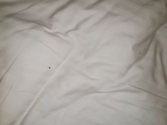 甲府ワシントンホテルプラザ クーポン