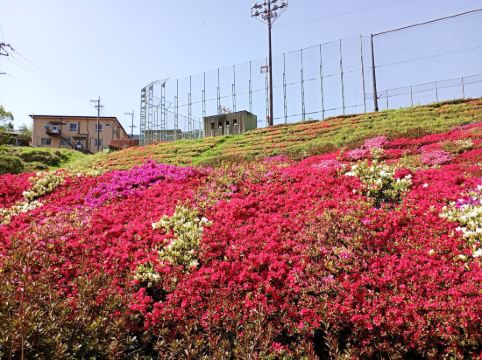 池の山荘 クーポン