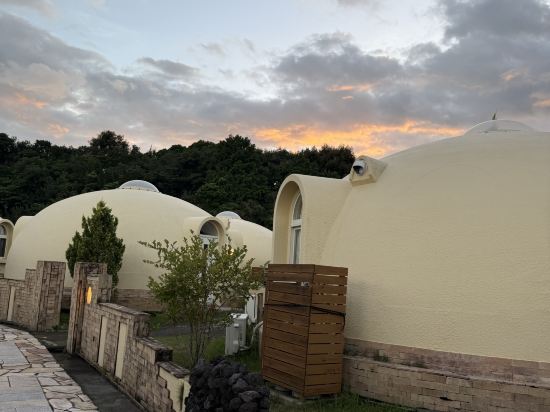 とれとれヴィレッジ クーポン