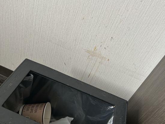 ホテルルートイン豊橋駅前 クーポン