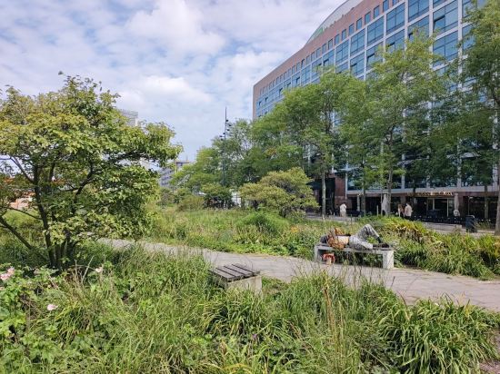 阿姆斯特丹斯勞特戴克站美居酒店優惠