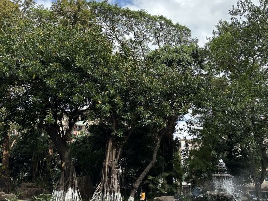 錦江之星風尚（中山石岐大信新都滙店）優惠