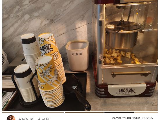 柏槿酒店（深圳羅湖口岸向西地鐵站店）優惠