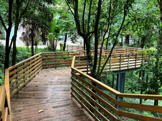 邛崍竹上花楸民宿優惠