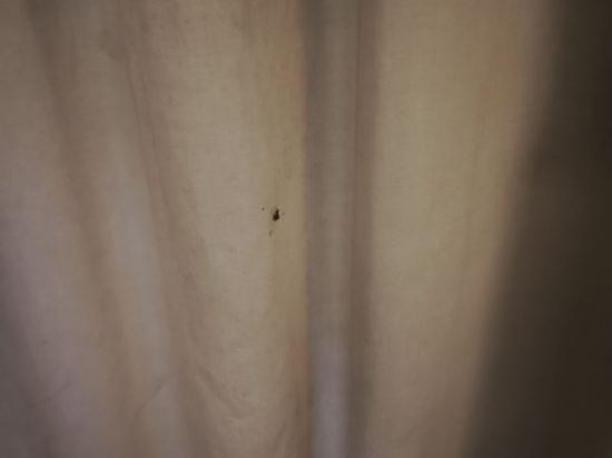 丁加奴蘇特拉海灘度假酒店優惠