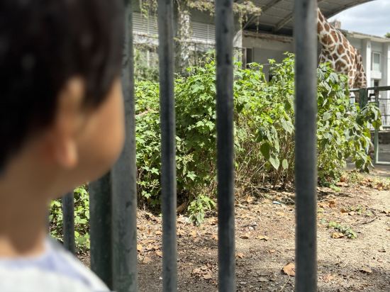 上海虹橋高鐵瑞衡美居酒店優惠