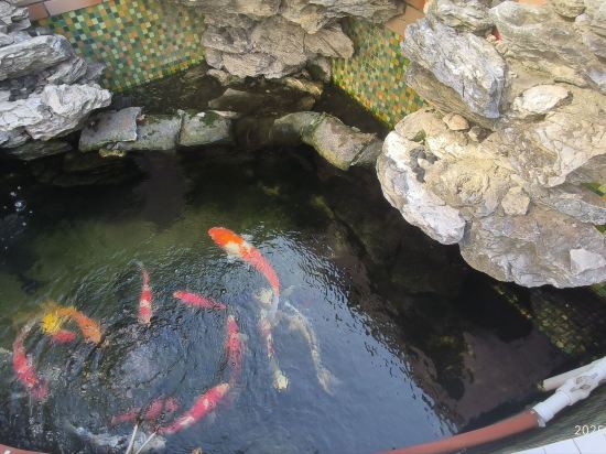 小院河畔民宿優惠