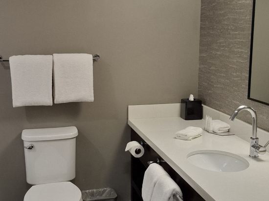 桑德曼標誌米西索加酒店優惠