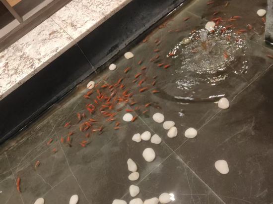 上海虹橋漕河涇美居飯店優惠