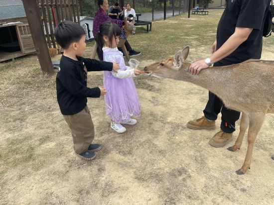 清遠熹樂谷温泉度假酒店優惠