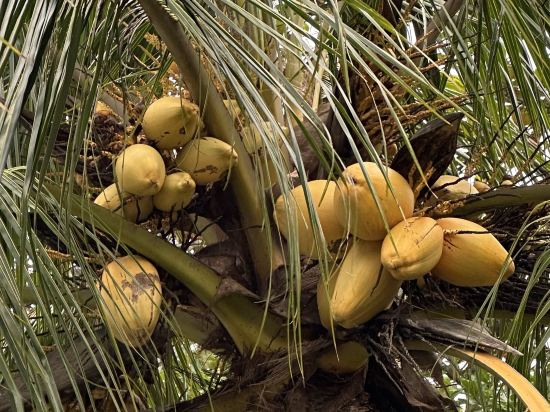 瓊海睿房公寓優惠