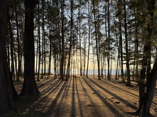 布吉邁考海灘躍浪渡假村（SHA Extra Plus）優惠