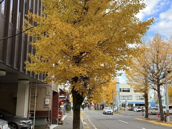 ホテルマイステイズ青森駅前 クーポン