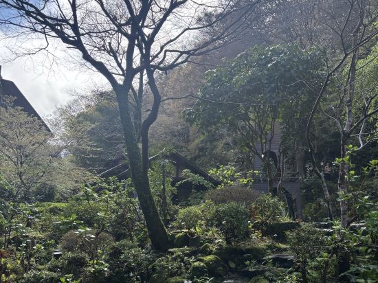 箱根湯本温泉 天成園 クーポン