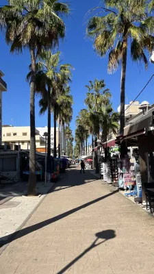 Grupotel Gran Vista & Spa Near Hotel Photos