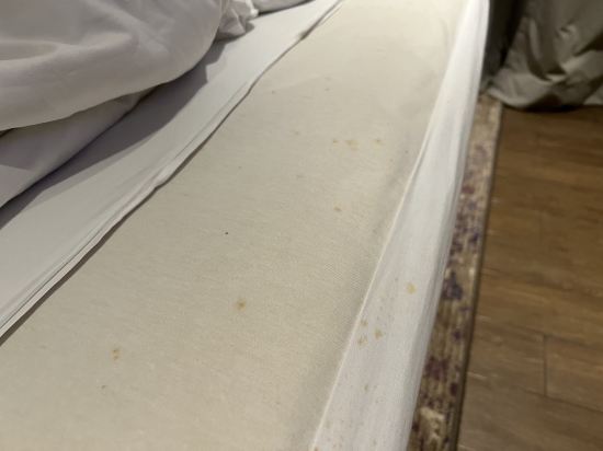 現代奇坎迪瑞士貝爾旅店優惠