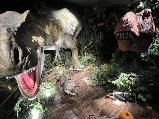 海茵娜飯店舞濱東京灣優惠