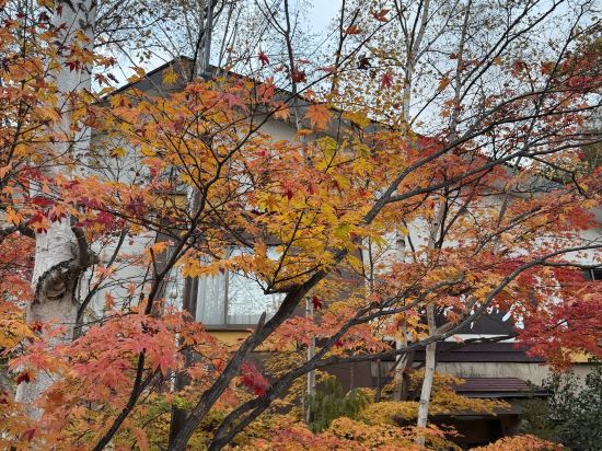 亀の井ホテル 奥日光湯元 クーポン