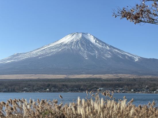 天然温泉　富嶽の湯　ドーミーイン三島 クーポン