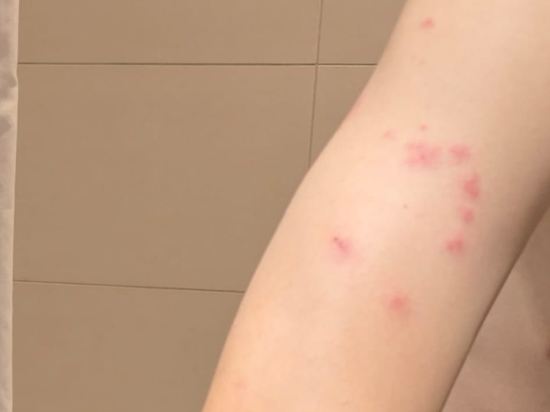 多倫多萬錦麗柏酒店優惠