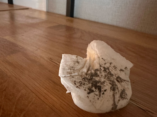 Rakuten STAY HOUSE x WILLSTYLE 佐世保 クーポン