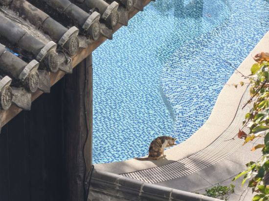 英德湞陽峽醴泉度假酒店優惠