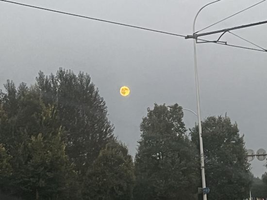 瀋陽新都綠城喜來登酒店優惠