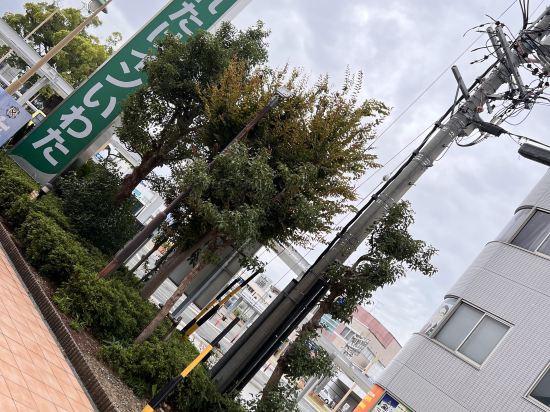 くれたけインいわた クーポン