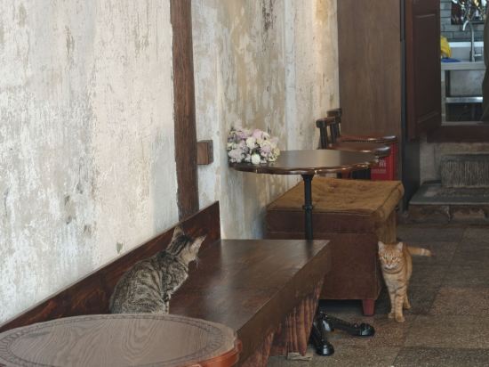 如家派柏·雲飯店（六一中路店）優惠