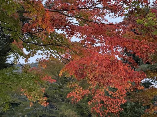 湯本富士屋ホテル クーポン
