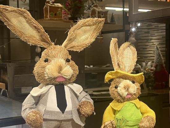 深圳彭年萬麗酒店優惠