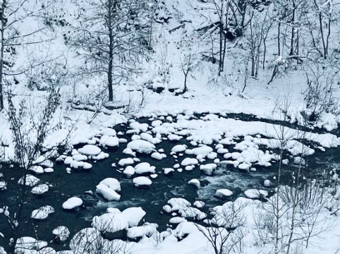 シャレーアイビー定山渓 クーポン