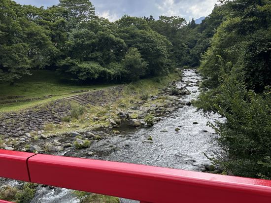 アネックス タートル ほとり庵 クーポン