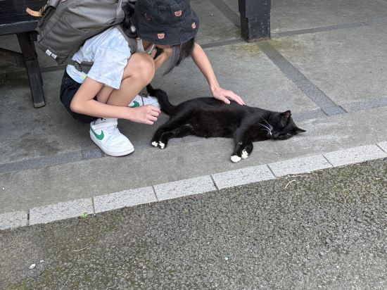 湯布院町燈之宿酒店優惠