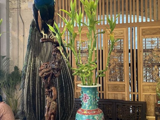 布吉昂昂回憶酒店（SHA Extra Plus）優惠