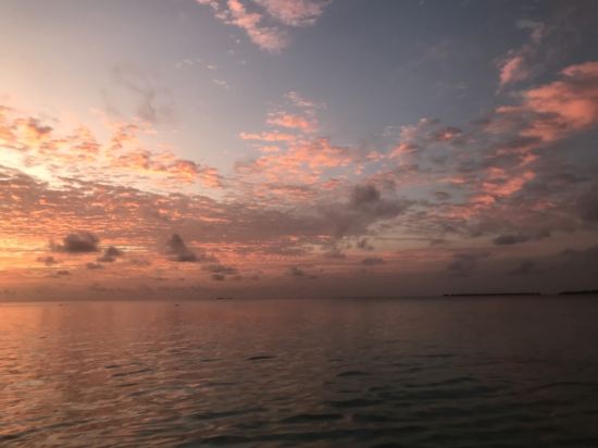 馬爾代夫呼爾胡維拉海灘椰子樹酒店優惠