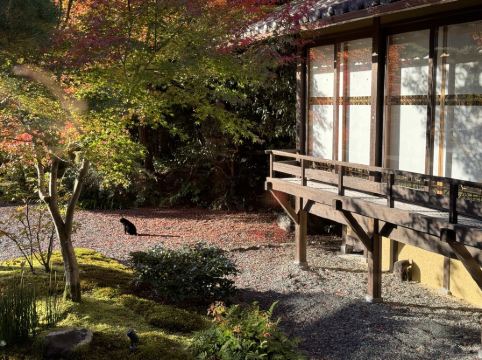 翠嵐 ラグジュアリーコレクションホテル 京都 クーポン