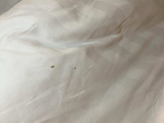 直葛尊享飯店-達法姆優惠