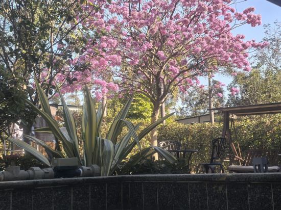 清遠新景泉温泉度假區優惠