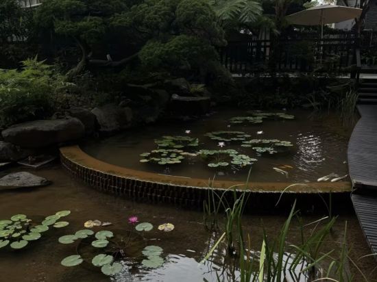 桃園悅徠館優惠