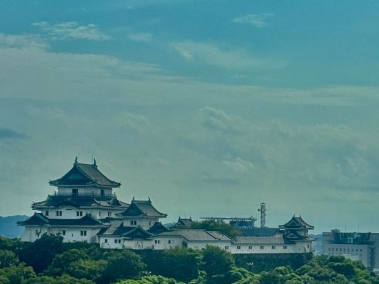 ダイワロイネットホテル和歌山 クーポン