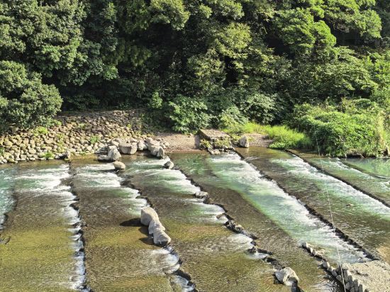 湯本富士屋ホテル クーポン