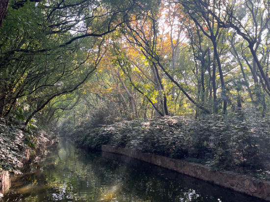 上海西郊賓館優惠