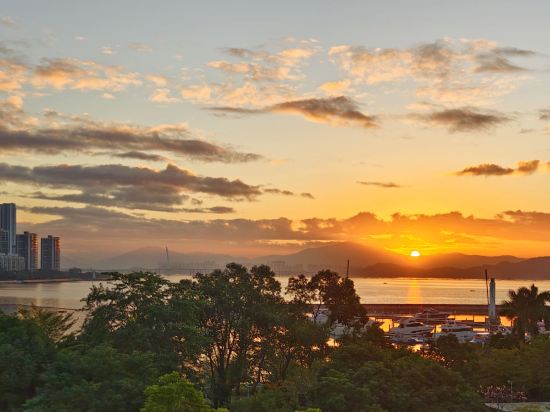 深圳蛇口希爾頓南海酒店優惠
