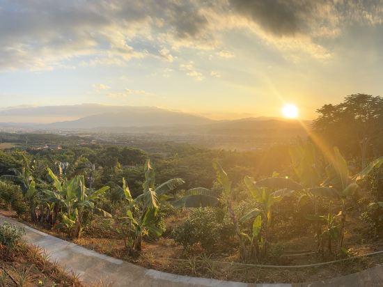 西雙版納稷澤萬達文華度假酒店優惠
